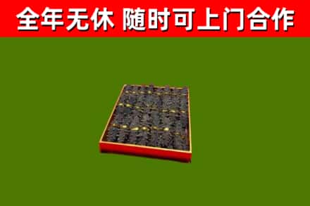 新竹回收海参